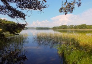 Поцех (Потех)